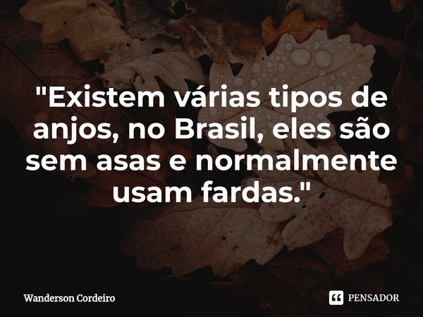 ⁠"Existem várias tipos de anjos, no Brasil, eles são sem asas e normalmente usam fardas."... Frase de Wanderson Cordeiro.