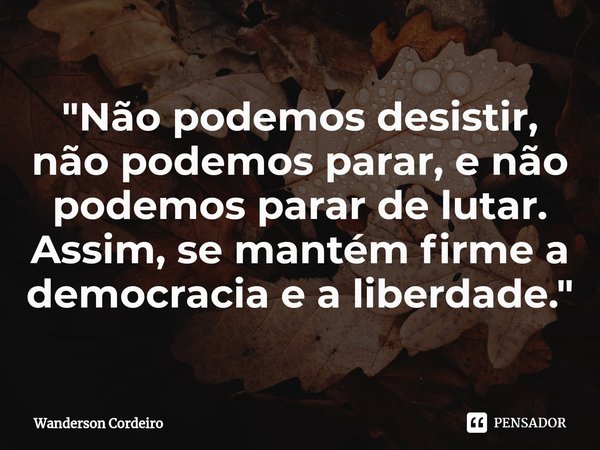 ⁠"Não podemos desistir, não podemos parar, e não podemos parar de lutar. Assim, se mantém firme a democracia e a liberdade."... Frase de Wanderson Cordeiro.