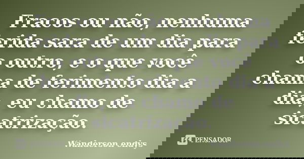 Fracos ou não, nenhuma ferida sara de um dia para o outro, e o que você chama de ferimento dia a dia, eu chamo de sicatrização.... Frase de Wanderson Endys.