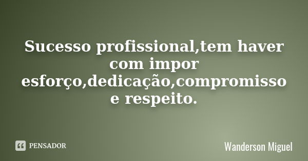 Sucesso profissional,tem haver com impor esforço,dedicação,compromisso e respeito.... Frase de Wanderson Miguel.