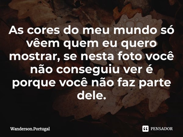⁠As cores do meu mundo só vêem quem eu quero mostrar, se nesta foto você não conseguiu ver é porque você não faz parte dele.... Frase de Wanderson.Portugal.
