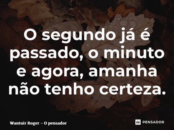 ⁠O segundo já é passado, o minuto e agora, amanha não tenho certeza.... Frase de Wantuir Roger - O Pensador.