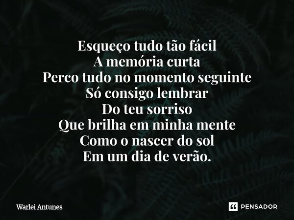 ⁠Esqueço tudo tão fácil A memória curta Perco tudo no momento seguinte Só consigo lembrar Do teu sorriso Que brilha em minha mente Como o nascer do sol Em um di... Frase de Warlei Antunes.