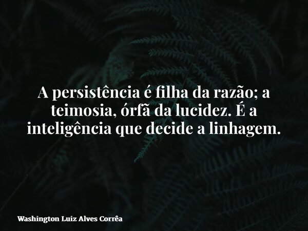 A persistência é filha da razão; a teimosia, órfã da lucidez. É a inteligência que decide a linhagem.... Frase de Washington Luiz Alves Corrêa.