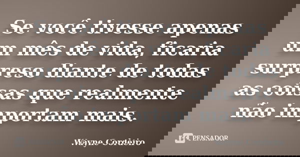 Se você tivesse apenas um mês de vida, ficaria surpreso diante de todas as coisas que realmente não importam mais.... Frase de Wayne Cordeiro.