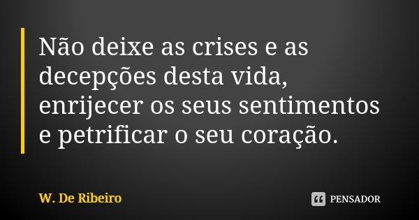 Não deixe as crises e as decepções desta vida, enrijecer os seus sentimentos e petrificar o seu coração.... Frase de W. De Ribeiro.