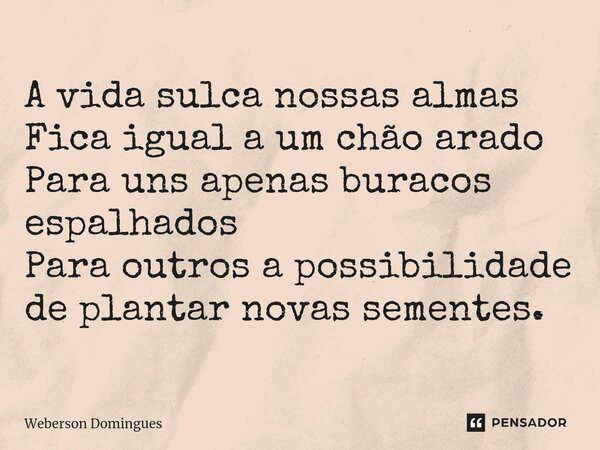 ⁠A vida sulca nossas almas
Fica igual a um chão arado
Para uns apenas buracos espalhados
Para outros a possibilidade de plantar novas sementes.... Frase de Weberson Domingues.