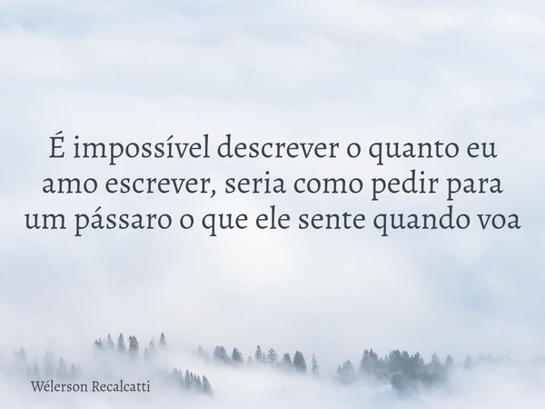 É impossível descrever o quanto eu amo escrever, seria como pedir para um pássaro o que ele sente quando voa... Frase de Wélerson Recalcatti.