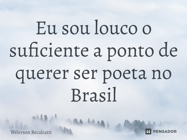 ⁠Eu sou louco o suficiente a ponto de querer ser poeta no Brasil... Frase de Wélerson Recalcatti.