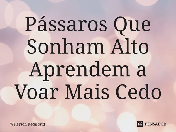 ⁠Pássaros Que Sonham Alto Aprendem a Voar Mais Cedo... Frase de Wélerson Recalcatti.