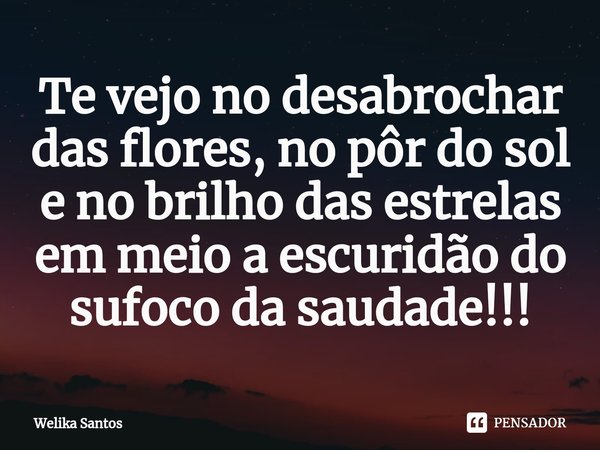 ⁠⁠Te vejo no desabrochar das flores, no pôr do sol e no brilho das estrelas em meio a escuridão do sufoco da saudade!!!... Frase de Welika Santos.