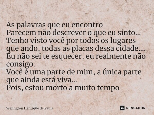 As palavras que eu encontro Parecem não descrever o que eu sinto... Tenho visto você por todos os lugares que ando, todas as placas dessa cidade.... Eu não sei ... Frase de Welington Henrique de Paula.