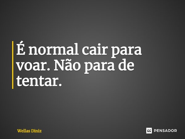 ⁠É normal cair para voar. Não para de tentar.... Frase de Wellas Diniz.