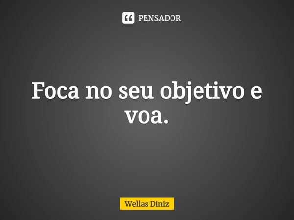 ⁠Foca no seu objetivo e voa.... Frase de Wellas Diniz.