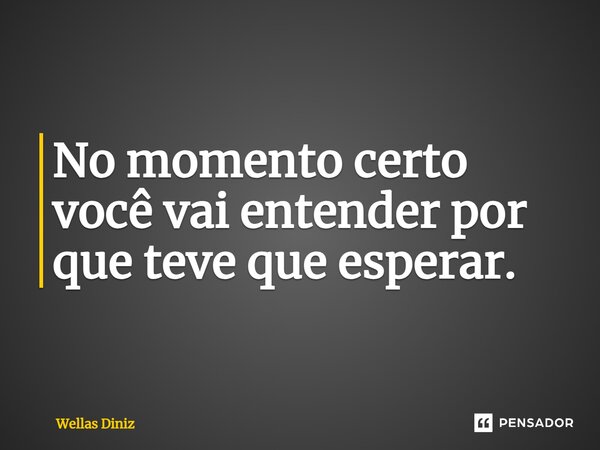 ⁠No momento certo você vai entender por que teve que esperar.... Frase de Wellas Diniz.