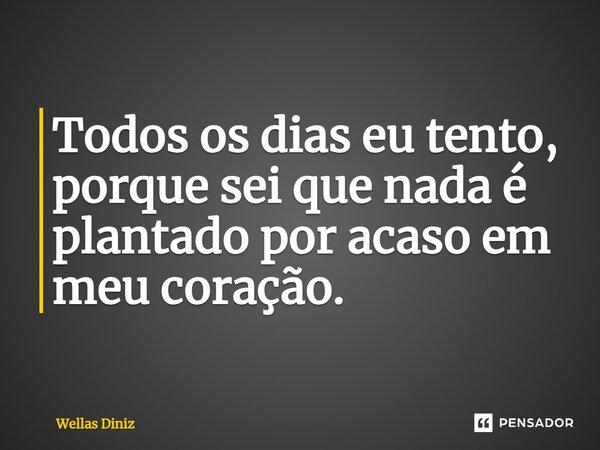 ⁠Todos os dias eu tento, porque sei que nada é plantado por acaso em meu coração.... Frase de Wellas Diniz.