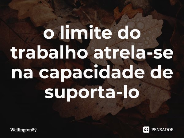 ⁠o limite do trabalho atrela-se na capacidade de suporta-lo... Frase de Wellington87.