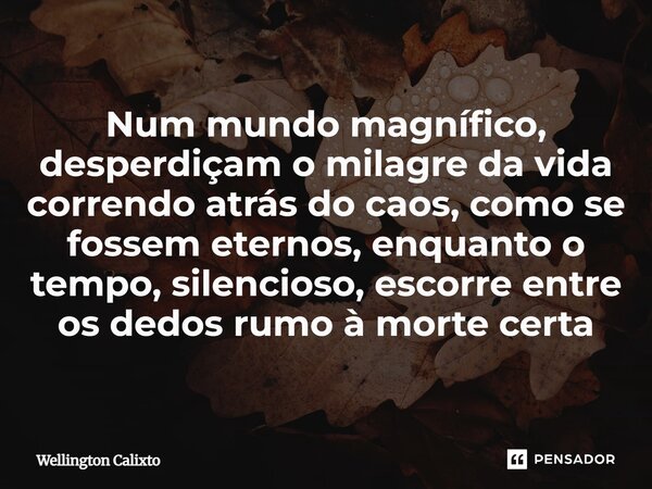 ⁠Num mundo magnífico, desperdiçam o milagre da vida correndo atrás do caos, como se fossem eternos, enquanto o tempo, silencioso, escorre entre os dedos rumo à ... Frase de Wellington Calixto.