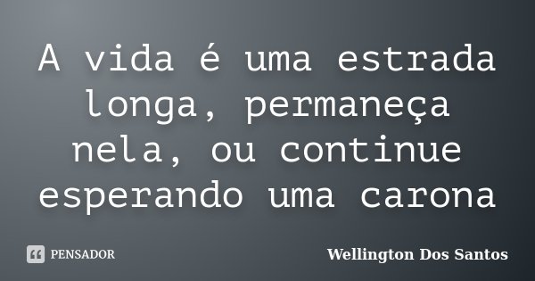 A vida é uma estrada longa, permaneça nela, ou continue esperando uma carona... Frase de Wellington Dos Santos.