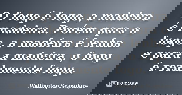 O fogo é fogo, a madeira é madeira. Porém para o fogo, a madeira é lenha e para a madeira, o fogo é realmente fogo.... Frase de Wellington Scapulare.