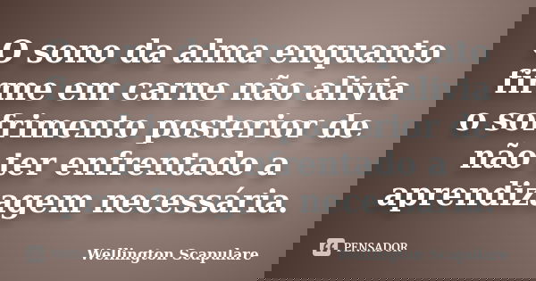O sono da alma enquanto firme em carne não alivia o sofrimento posterior de não ter enfrentado a aprendizagem necessária.... Frase de Wellington Scapulare.