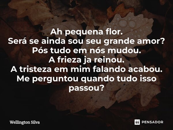Ah ⁠pequena flor. Será se ainda sou seu grande amor? Pós tudo em nós mudou. A frieza ja reinou. A tristeza em mim falando acabou. Me perguntou quando tudo isso ... Frase de Wellington silva.