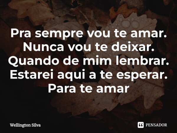 Pra sempre vou te amar. Nunca vou te deixar. Quando de mim lembrar. Estarei aqui a te esperar. Para te amar⁠... Frase de Wellington silva.