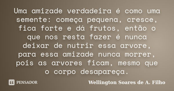 Uma amizade verdadeira é como uma semente: começa pequena, cresce, fica forte e dá frutos, então o que nos resta fazer é nunca deixar de nutrir essa arvore, par... Frase de Wellington Soares de A. Filho.