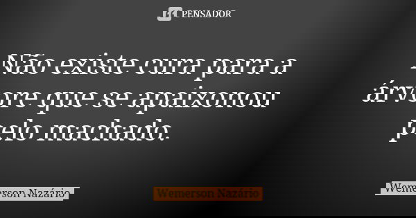 Não existe cura para a árvore que se apaixonou pelo machado.... Frase de Wemerson Nazário.