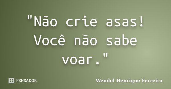 "Não crie asas! Você não sabe voar."... Frase de Wendel Henrique Ferreira.