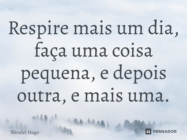 Respire mais um dia, faça uma coisa pequena, e depois outra, e mais uma.... Frase de Wendel Hugo.
