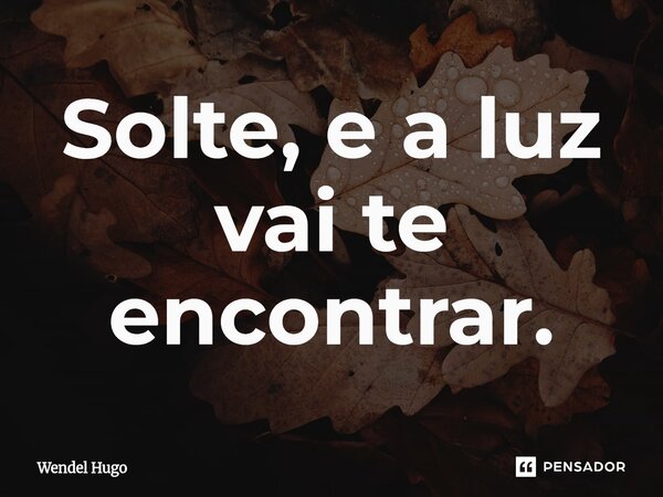 ⁠Solte, e a luz vai te encontrar.... Frase de Wendel Hugo.