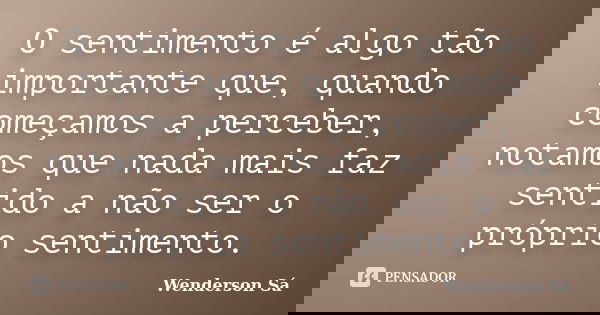 O sentimento é algo tão importante que, quando começamos a perceber, notamos que nada mais faz sentido a não ser o próprio sentimento.... Frase de Wenderson Sá.