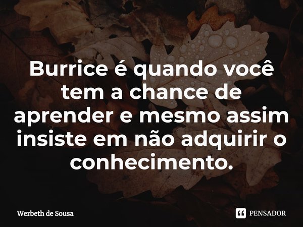 ⁠Burrice é quando você tem a chance de aprender e mesmo assim insiste em não adquirir o conhecimento.... Frase de Werbeth de Sousa.