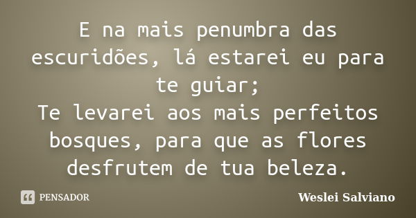 E na mais penumbra das escuridões, lá estarei eu para te guiar; Te levarei aos mais perfeitos bosques, para que as flores desfrutem de tua beleza.... Frase de Weslei Salviano.