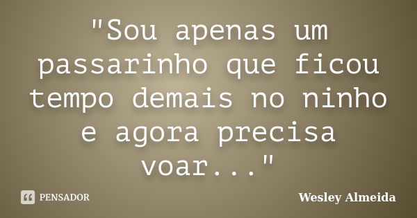 "Sou apenas um passarinho que ficou tempo demais no ninho e agora precisa voar..."... Frase de Wesley Almeida.