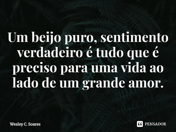 ⁠Um beijo puro, sentimento verdadeiro é tudo que é preciso para uma vida ao lado de um grande amor.... Frase de Wesley C. Soares.