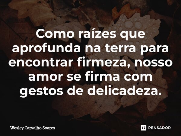 ⁠Como raízes que aprofunda na terra para encontrar firmeza, nosso amor se firma com gestos de delicadeza.... Frase de Wesley Carvalho Soares.