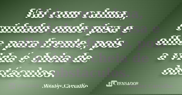 Vai com calma, cuidado onde pisa e olhe para frente, pois a vida é cheia de obstáculos.... Frase de Wesley Carvalho.