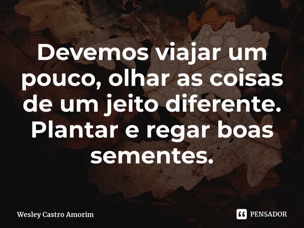 ⁠Devemos viajar um pouco, olhar as coisas de um jeito diferente. Plantar e regar boas sementes.... Frase de Wesley Castro Amorim.