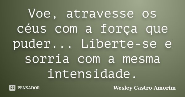 Voe, atravesse os céus com a força que puder... Liberte-se e sorria com a mesma intensidade.... Frase de Wesley Castro Amorim.