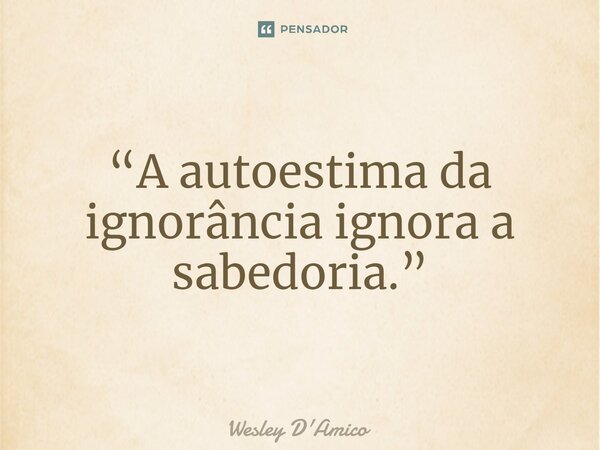 ⁠“A autoestima da ignorância ignora a sabedoria.”... Frase de Wesley D'Amico.