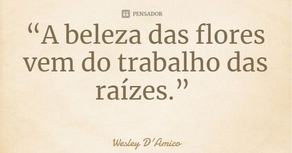 “A beleza das flores vem do trabalho das raízes.”... Frase de Wesley D'Amico.