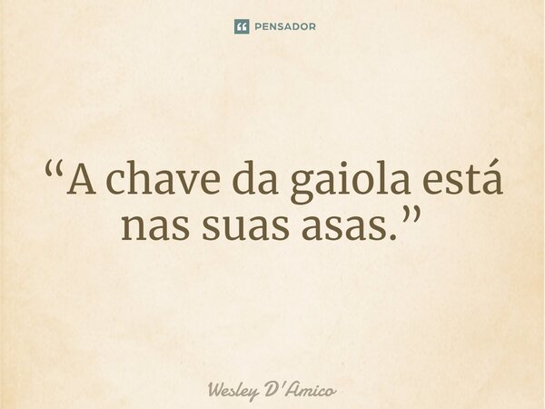 ⁠“A chave da gaiola está nas suas asas.”... Frase de Wesley D'Amico.