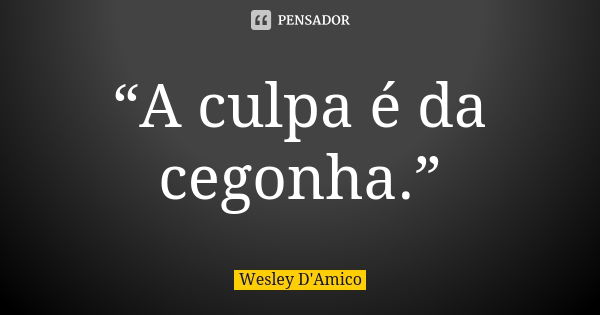 “A culpa é da cegonha.”... Frase de Wesley D'Amico.