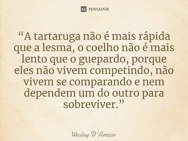 ⁠“A tartaruga não é mais rápida que a lesma, o coelho não é mais lento que o guepardo, porque eles não vivem competindo, não vivem se comparando e nem dependem ... Frase de Wesley D'Amico.