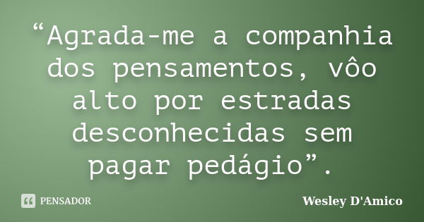 “Agrada-me a companhia dos pensamentos, vôo alto por estradas desconhecidas sem pagar pedágio”.... Frase de Wesley D'Amico.