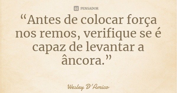 “Antes de colocar força nos remos, verifique se é capaz de levantar a âncora.”... Frase de Wesley D'Amico.