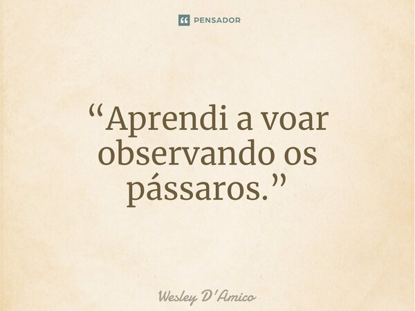 ⁠“Aprendi a voar observando os pássaros.”... Frase de Wesley D'Amico.