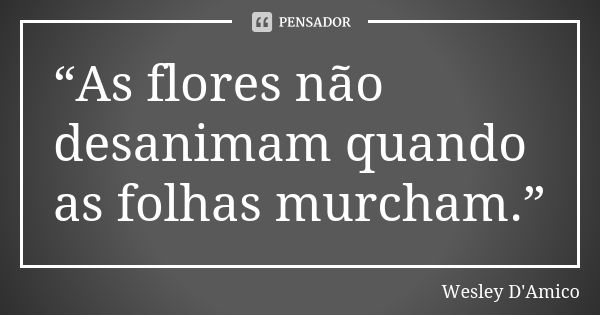 “As flores não desanimam quando as folhas murcham.”... Frase de Wesley D'Amico.